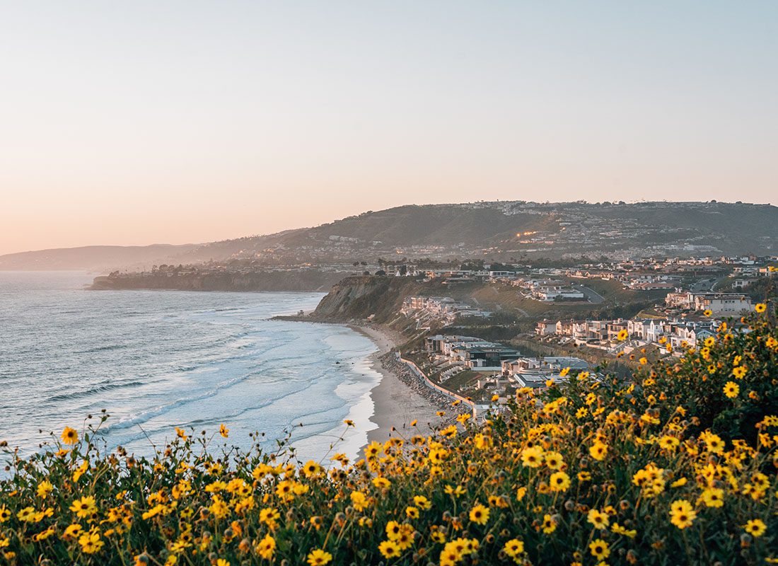 Contact - Field of Yellow Flowers Overlooking the Ocean and Coast Line with Homes in a California City at Sunset